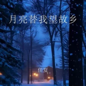 月亮替我望故乡 原调-钢琴谱