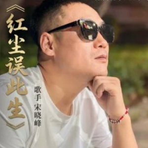 红尘误此生钢琴简谱 数字双手