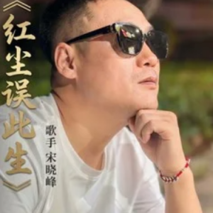 红尘误此生 C调-钢琴谱