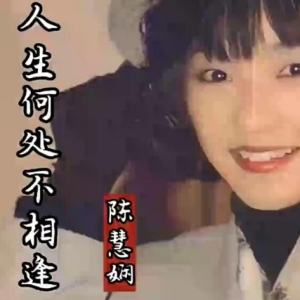人生何处不相逢-陈慧娴 G调独奏-钢琴谱