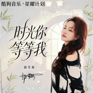 时光你等等我-钢琴谱