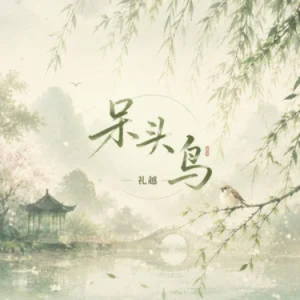呆头鸟钢琴简谱 数字双手