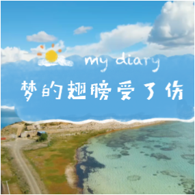 梦的翅膀受了伤 C调简易版 蒋雪儿-钢琴谱