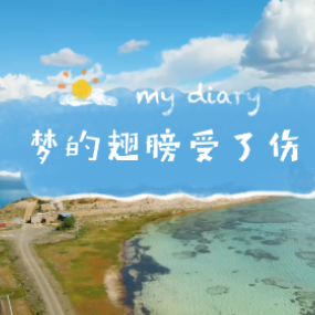 梦的翅膀受了伤钢琴简谱 数字双手
