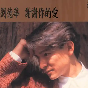谢谢你的爱 简易钢琴弹唱伴奏 带歌词 刘德华-钢琴谱