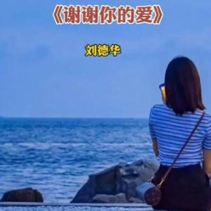 谢谢你的爱 简易版 刘德华 流行经典-钢琴谱