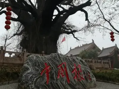大槐树我们的根-钢琴谱