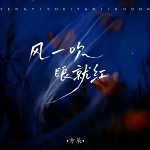 风一吹眼就红-钢琴谱