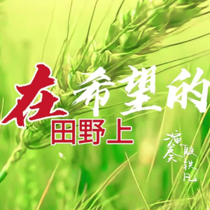 在希望的田野上钢琴简谱 数字双手