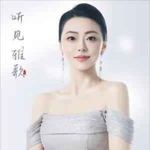 中国 我爱你-钢琴谱