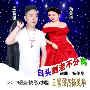 白头到老不分离-钢琴谱