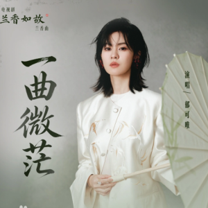 《一曲微茫》C调简易版-钢琴谱