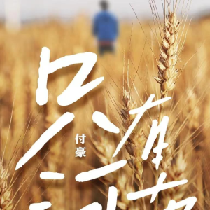 只有河南钢琴简谱 数字双手