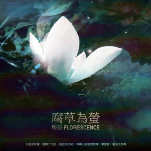 浮生辞-钢琴谱