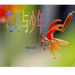花儿与少年伴奏可弹唱谱钢琴谱