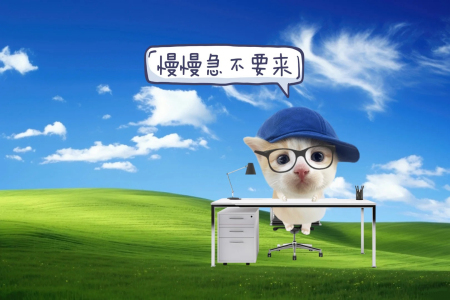 护你一世安好-钢琴谱