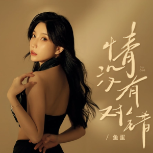 独奏《情没有对错》鱼蛋-钢琴谱