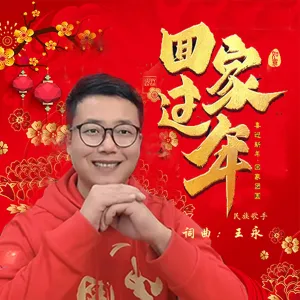 回家过年-钢琴谱