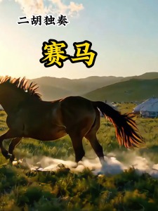 赛马(二胡版)-钢琴谱