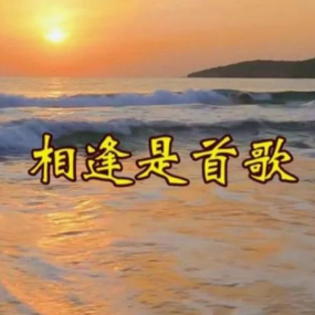 相逢是首歌 C调简易版 俞静  经典流行-钢琴谱