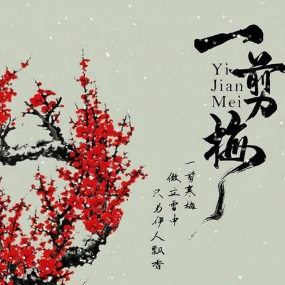一剪梅 C调简易钢琴弹唱伴奏 带歌词 费玉清-钢琴谱