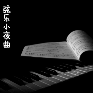 弦乐小夜曲钢琴简谱 数字双手