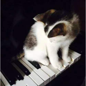 情歌【完美演奏版】-钢琴谱