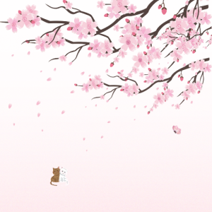 キセキの心拍-钢琴谱