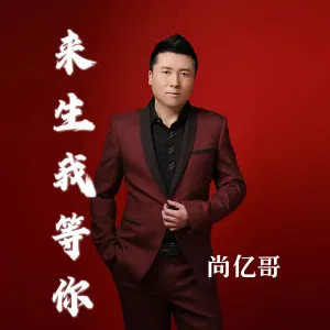 来生我等你-钢琴谱