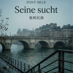 塞纳沉溺-钢琴谱