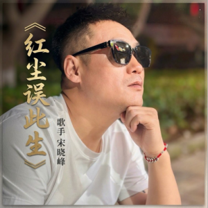 红尘误此生钢琴简谱 数字双手 张晓东