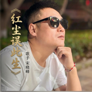 红尘误此生钢琴简谱 数字双手 张晓东