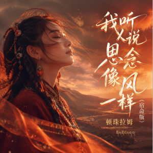 我听人说思念像风一样（宿命版）C调带歌词-钢琴谱