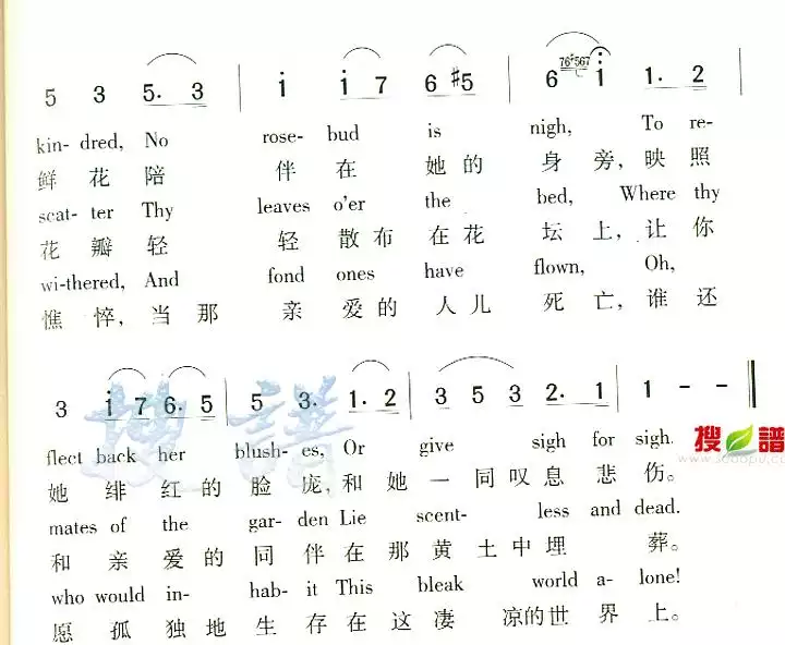 The Last Rose Of Summer简谱-虫虫乐谱