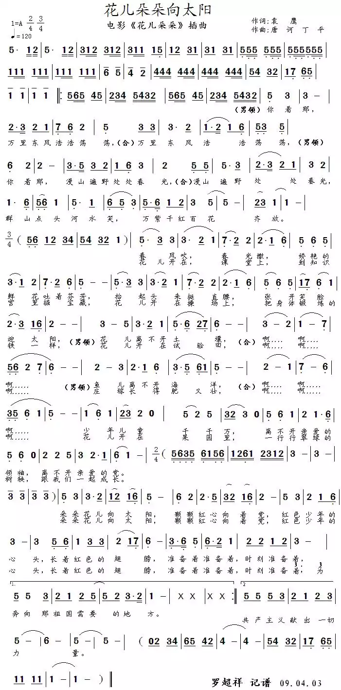 花儿朵朵向太阳