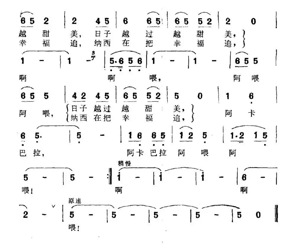 纳西在把幸福追简谱-虫虫乐谱