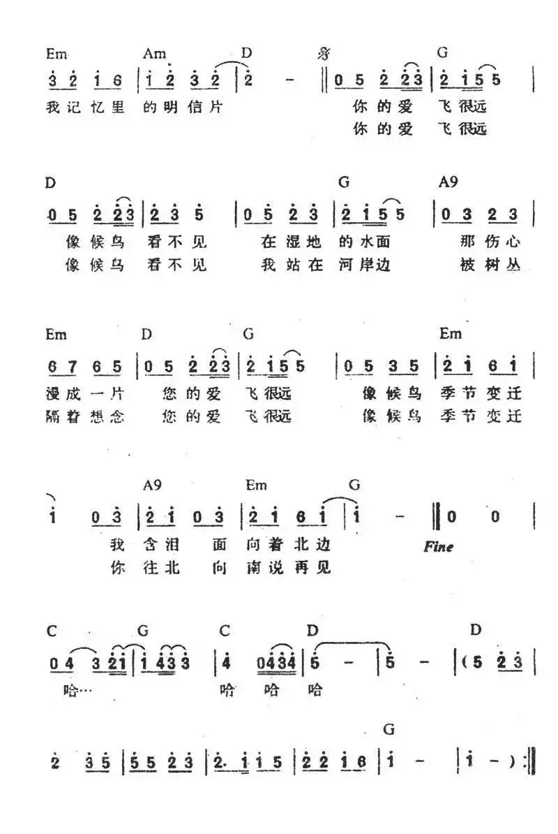 候鸟(方文山词 周杰伦曲)简谱-虫虫乐谱