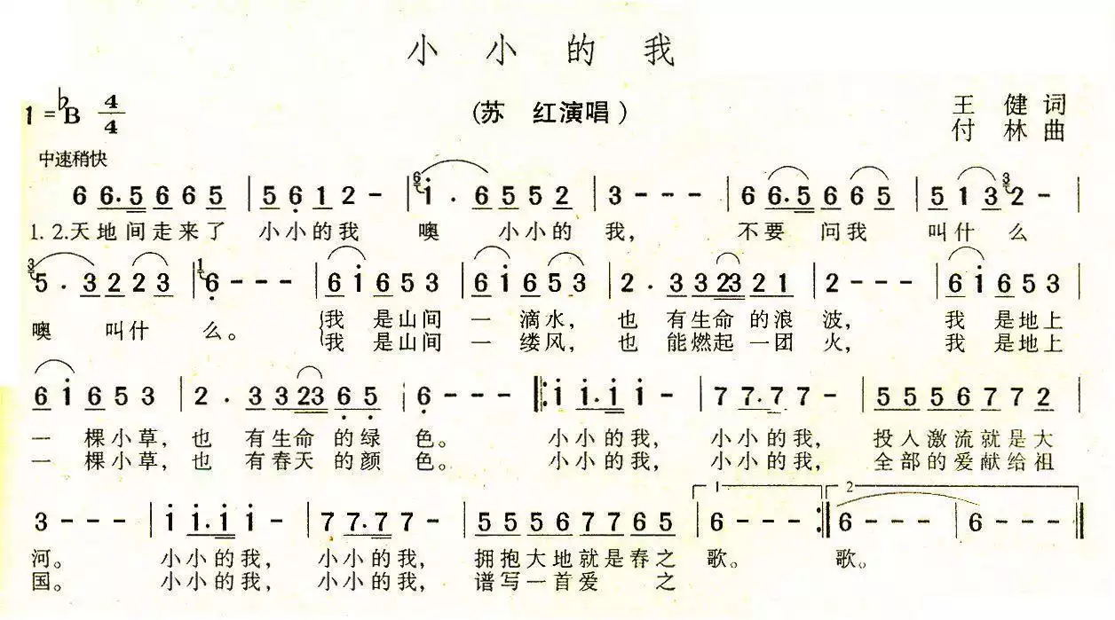 小小的我(王健词 付林曲)简谱-虫虫乐谱
