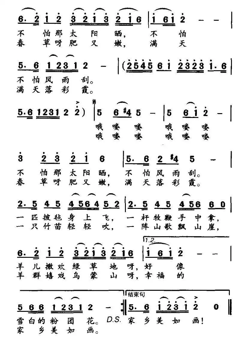 放羊娃曲谱图片