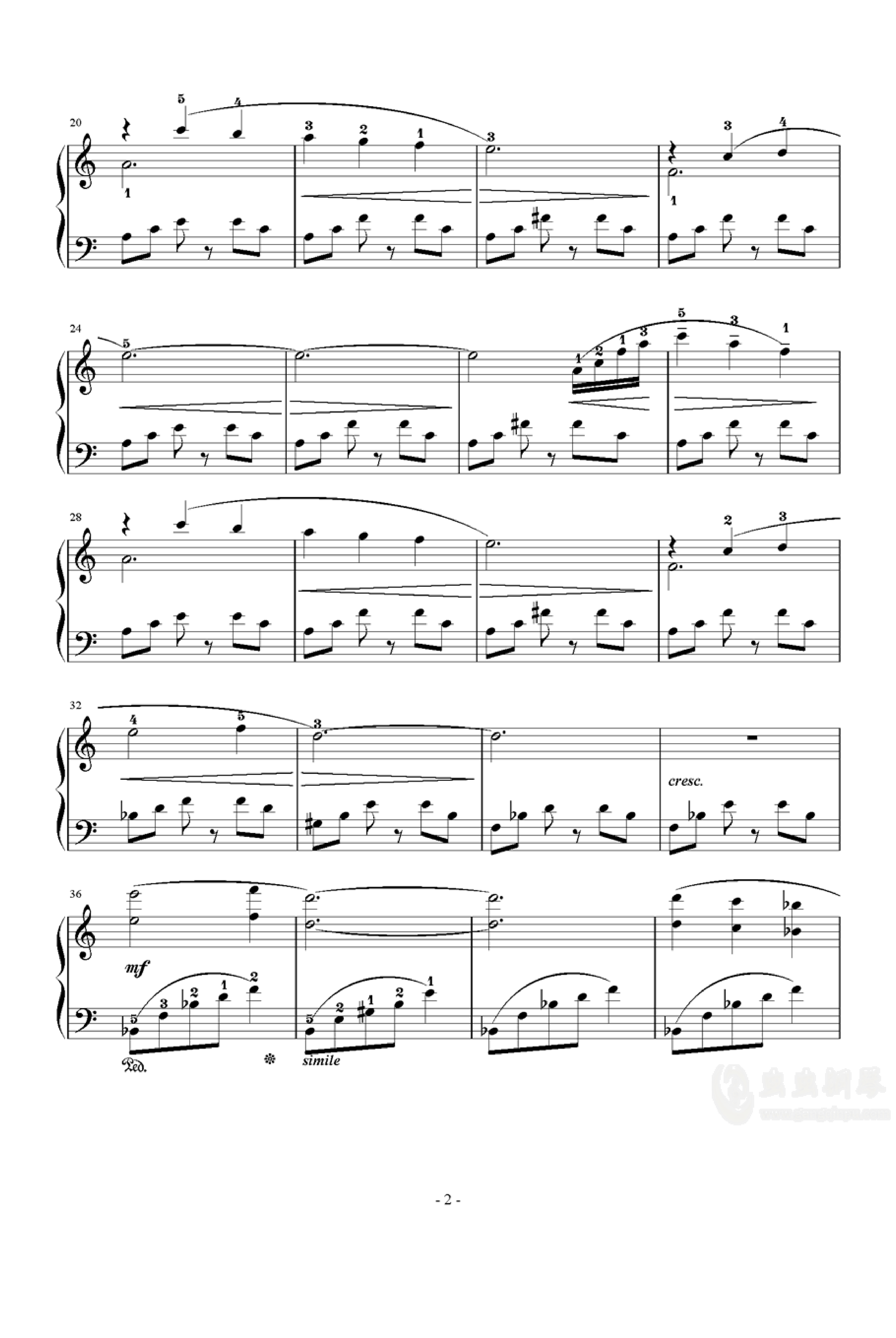迷いの森 / Phantom Forest