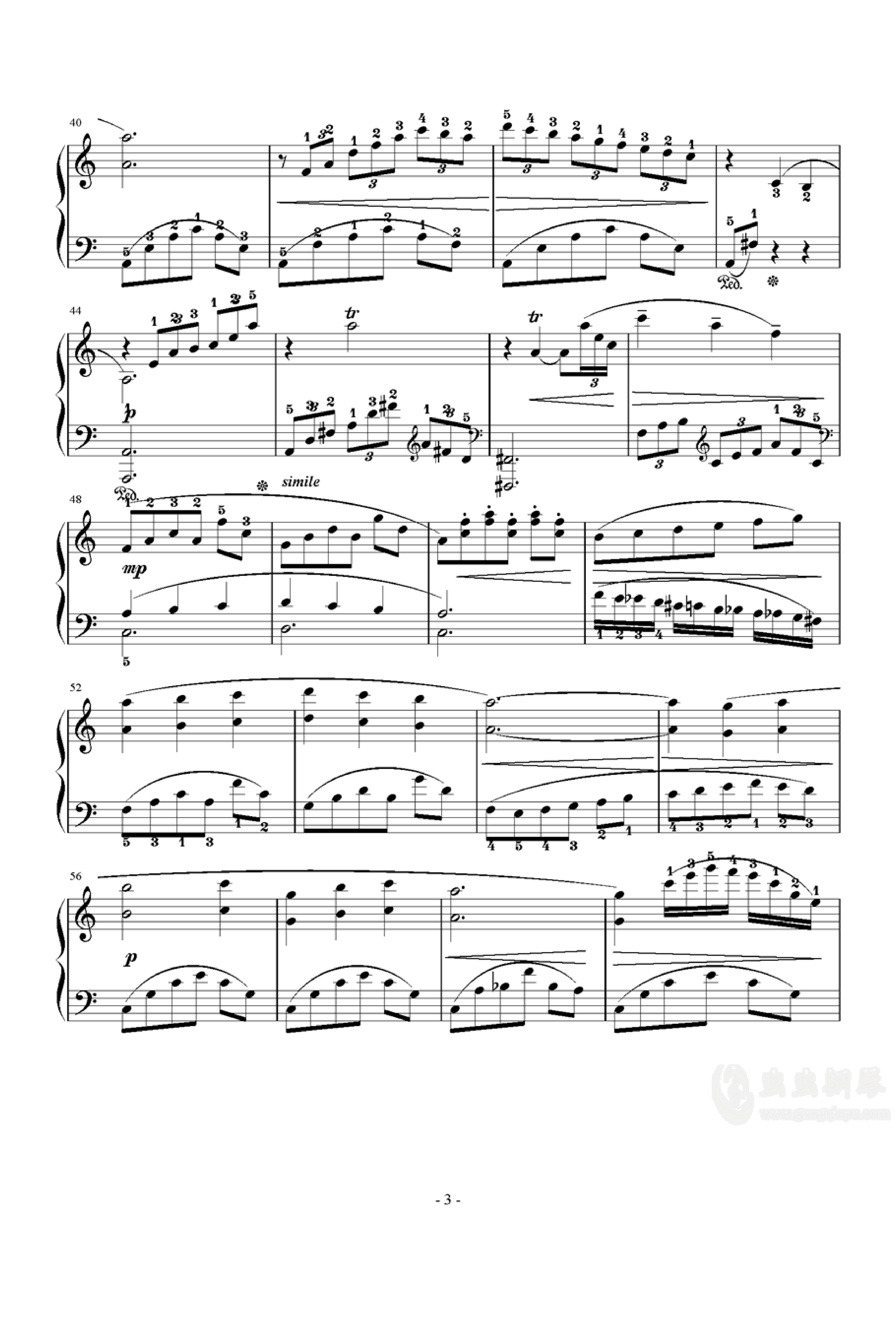 迷いの森 / Phantom Forest