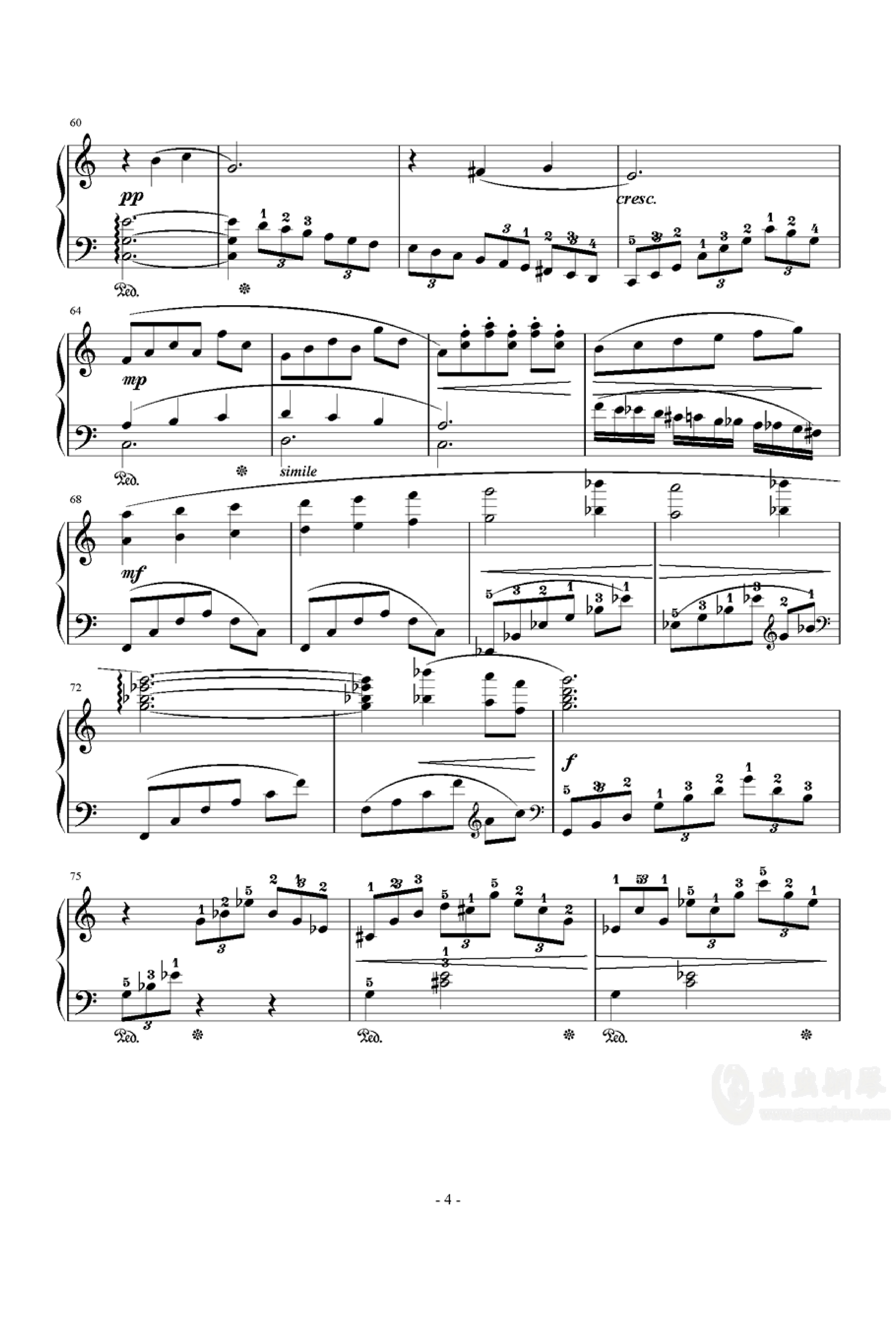 迷いの森 / Phantom Forest