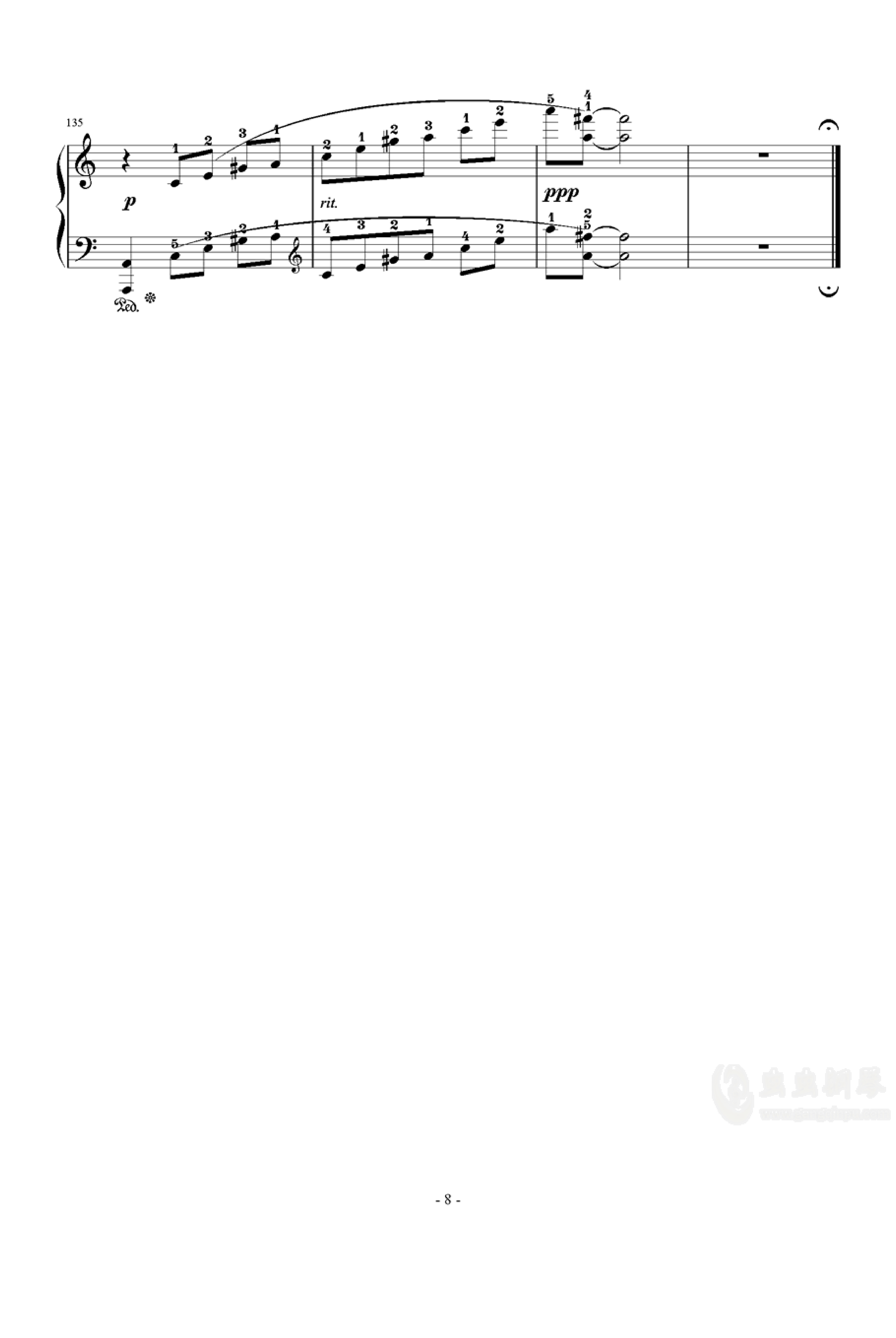 迷いの森 / Phantom Forest