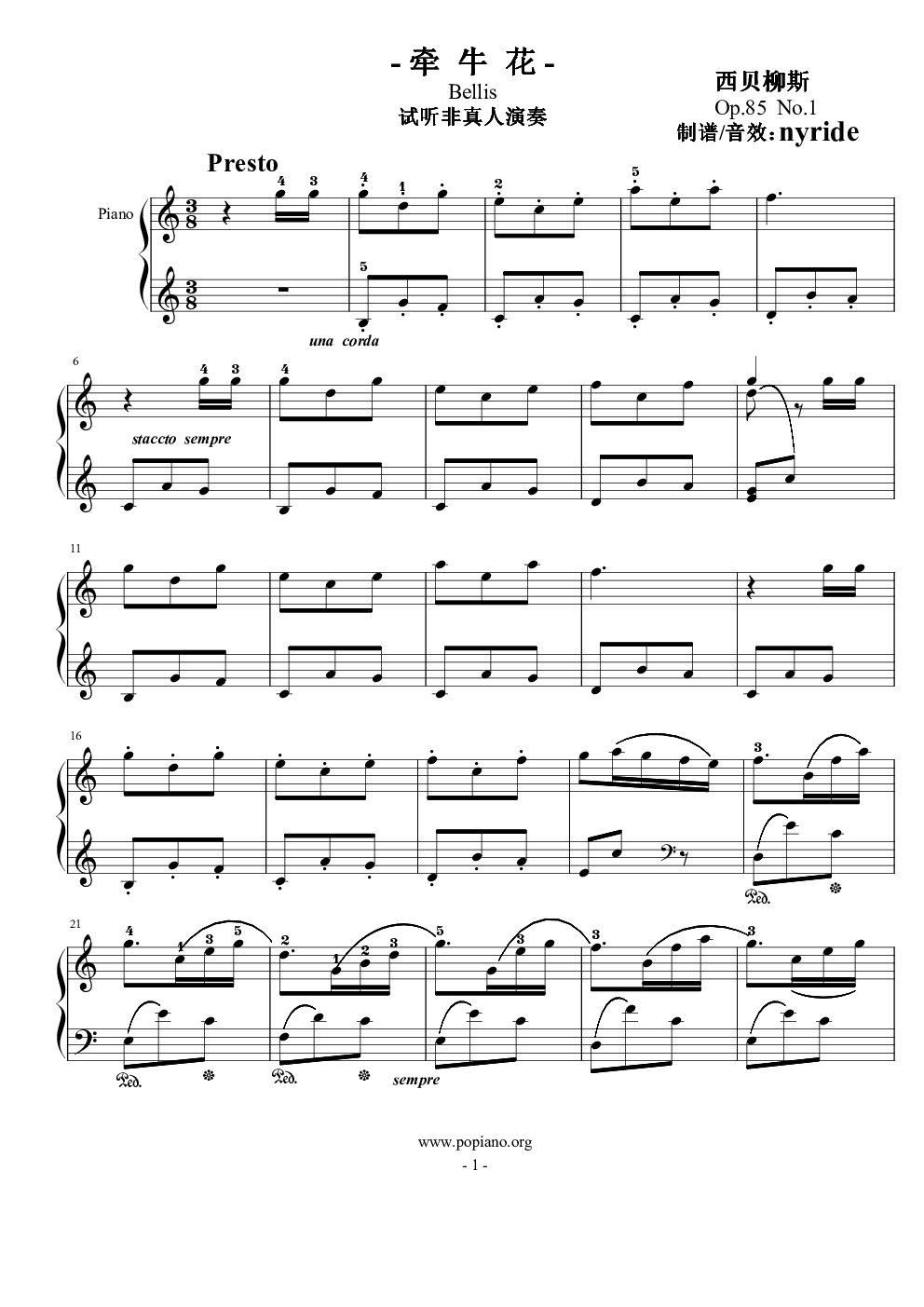 西贝柳斯牵牛花