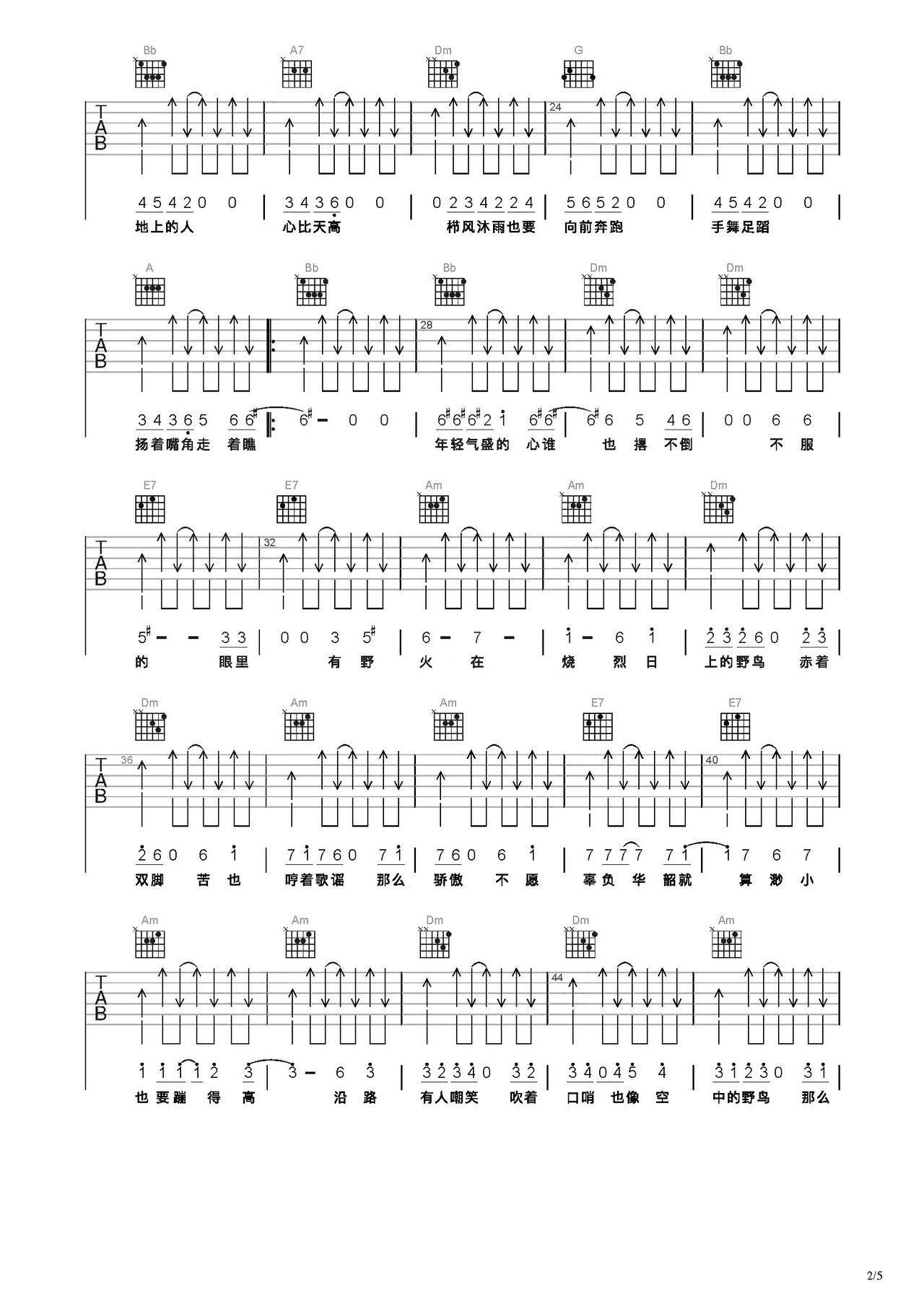 野鸟吉他谱-弹唱谱-c调-虫虫吉他